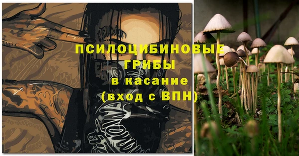 mdpv Бронницы