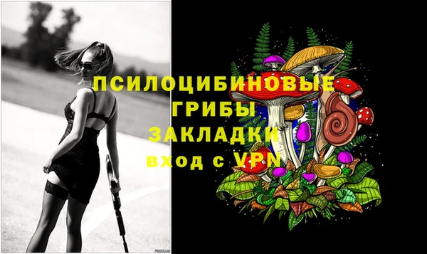 mdpv Бронницы