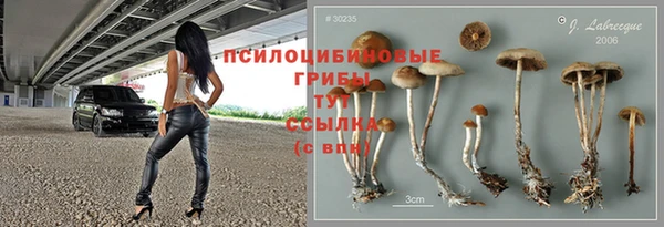 mix Бородино