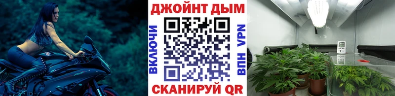 наркошоп  Павлово  Бошки марихуана план 